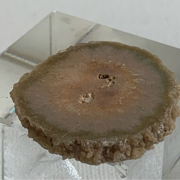 Stalactite Slice Polished Crystal Display Specimen Las Torres Mine Uruguay 1.4" - Picture 5 of 10